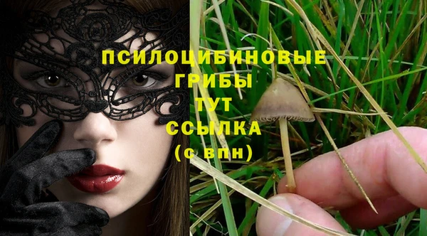 первитин Козельск